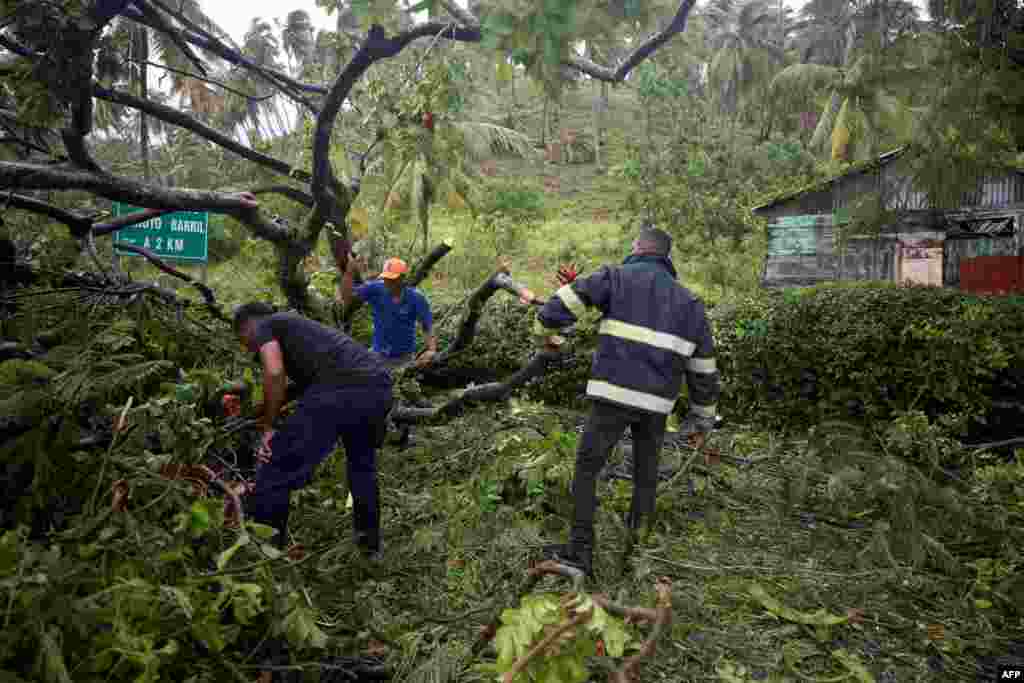 Civil defense personnel and firefighters work removing fallen trees from the highway that connects the provinces of Maria Trinidad Sanchez and Samana, Dominican Republic, Sept. 19, 2022, after the passage of Hurricane Fiona.