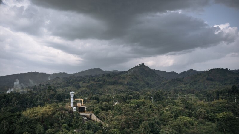 RDC: les dirigeants de l'institut de conservation de la nature révoqués