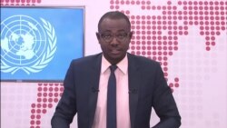 ONU: "Il y a quelques situations où les pays africains avancent en ordre dispersé"
