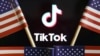 Američke zastave oko logoa TikToka, u ilustraciji od 16. jula 2020. (Ilustracija: Rojters, Florence Lo)