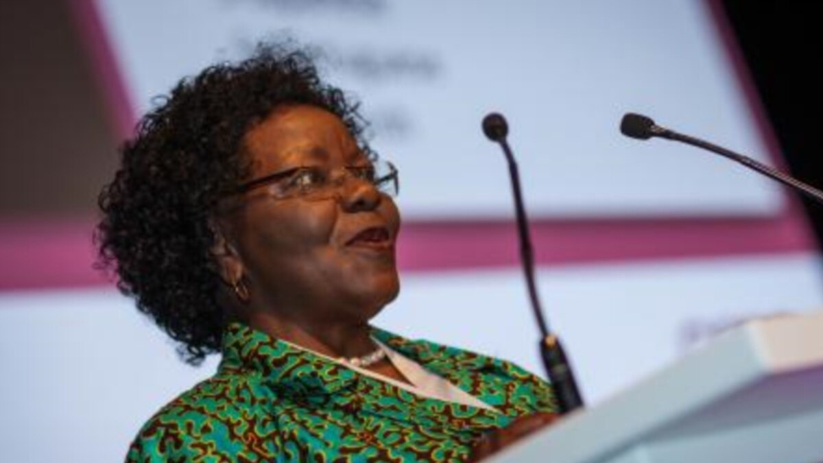 Minister: Unemployment Low in Zimbabwe as Small Businesses Create