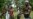 Nigeria Boosts Funds to Protect Oil Facilities