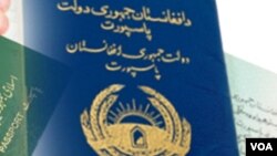 چارواکي وایي تراوسه د څلورسوو زرو نه زیاتو کسانو په کابل او ولایتونو کې نوي پاسپورټونه اخیستي دي.