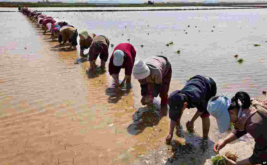 [오늘의 북한] 주민들의 생활상