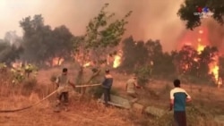 Ալժիրի գյուղացիները հուսահատորեն պայքարում են անտառային հրդեհների դեմ, որոնք ավերում են գյուղերը և դարձել են առնվազն 65 մարդու մահվան պատճառ