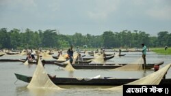হালদা নদী