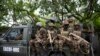 Uganda akan Kirim 1.000 Tentara ke Kongo untuk Lawan Pemberontak M23