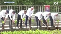 G20 Liderleri Mangrov Ormanına Ağaç Dikti 