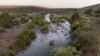 ARCHIVO - Una vaca cruza el río Jordán cerca del kibbutz Karkom, norte de Israel, 30 de julio de 2022.