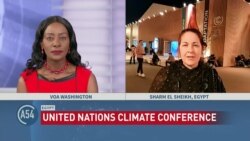 COP27: Second Week Updates