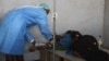 FILE - A health worker assists a cholera patient at Limbe Clinic in Blantyre, Malawi. Doctors Without Borders, known by its French acronym MSF, warned on Dec. 8, 2022, that cases of cholera at a camp in the Democratic Republic of Congo had risen dramatically. (Lameck Masina/VOA)