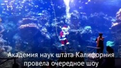 Подводный Санта