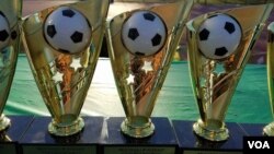 Shasha dzenhabvau gumi neimwe dzegore rino dzichadomwa musi wa29 mwedzi uno