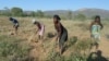 Camponeses alertam para aumento de pobreza em Moçambique