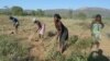 Campos de minas dão lugar a agricultura em Cuando Cubango