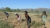 Lançada campanha agrícola na Huíla - Relatório avisa que não há alívio da seca até à próxima colheita