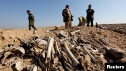 FILE - Bones, suspected to belong to members of Iraq's Yazidi community, are seen in a mass grave on the outskirts of the town of Sinjar, November 30, 2015. 