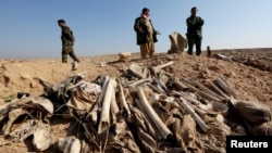 FILE - Bones, suspected to belong to members of Iraq's Yazidi community, are seen in a mass grave on the outskirts of the town of Sinjar, Nov. 30, 2015. 