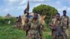 Somalia Kills at Least 20 al-Shabab Insurgents