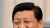 Си Цзиньпину напомнили о вето Китая на резолюцию по Сирии