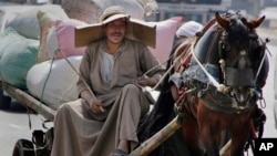 An Egyptian farmer rides his horse cart as he uses a makeshift hat with cardboard to protect his head from direct sunlight on a Cairo street, Aug. 11, 2015.