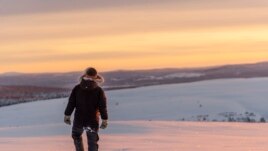 In this Wednesday, Nov. 27, 2019 photo, reindeer herder Niila Inga from the Laevas Sami community walks across the snow as the sun sets on Longastunturi mountain near Kiruna, Sweden. (AP Photo/Malin Moberg)
