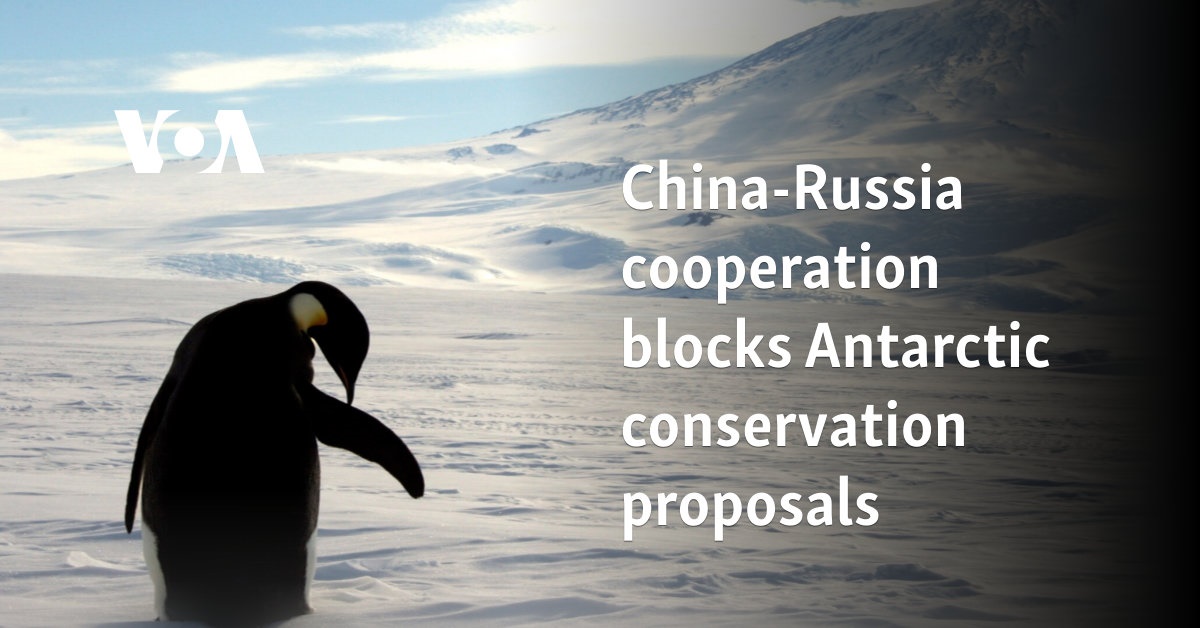 China-Russia cooperation blocks Antarctic conservation proposals