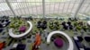 US College Libraries Reinvented for Digital Age