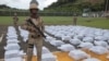 Centroamérica decomisó en 2021 "más droga que nunca" tras el parón de la pandemia