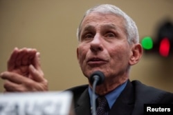 Anthony Fauci, director of the NIH National Institute for Allergy and Infectious Diseases, testifies before a House Energy and Commerce Health Subcommittee hearing on oversight of the coronavirus outbreak, Feb. 26, 2020.