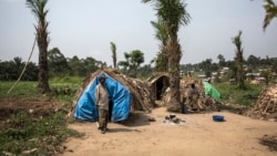 Conflit en RDC : lancement d'une assistance psychosociale aux personnes déplacées