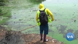 Pollution Threatens Future of South America's Largest Lake 