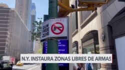 Zonas libres de armas en Nueva York 