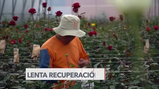 Lenta recuperación del empleo en América Latina