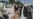 3 Green Card Holders Rescued From Afghanistan Arrive in US