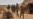 Al-Shabab Kills 21 in Somalia’s Hiran Province