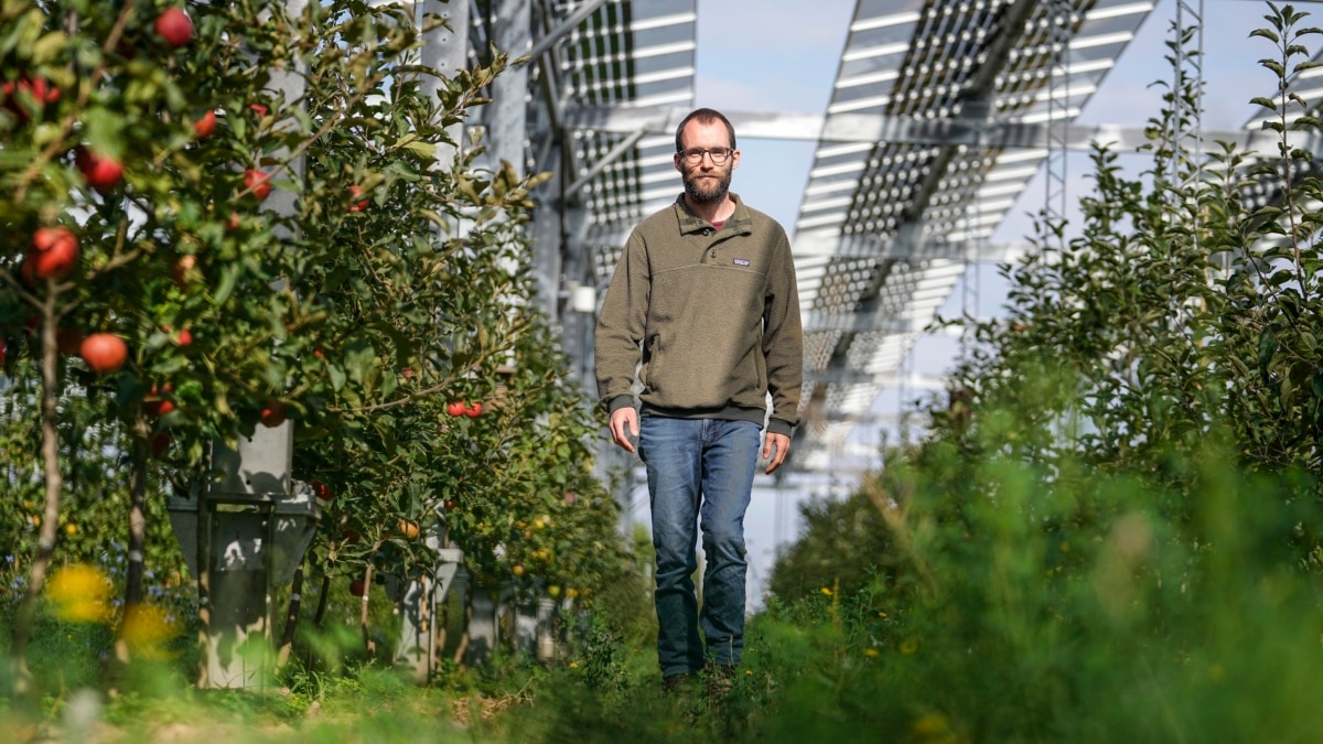 German Farmer Grows Fruit under Solar Power Equipment - Vimarsana News
