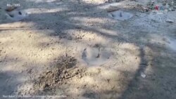 Թեքսասում երաշտի հետևանքով 113 միլիոն տարի առաջվա դինոզավրերի հետքեր են հայտնաբերվել_2.mp4