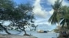 Solomon Islands Officials: Chinese Companies Still See Opportunity in Tulagi