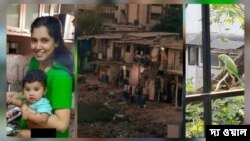 শাহিনা আটারওয়ালা, মাইক্রোসফ্ট সংস্থার ডিজাইন লিডার