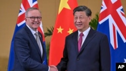 资料图片：中国领导人习近平与澳大利亚总理阿尔巴尼斯在巴厘岛出席G20峰会期间举行会晤。（2022年11月15日）