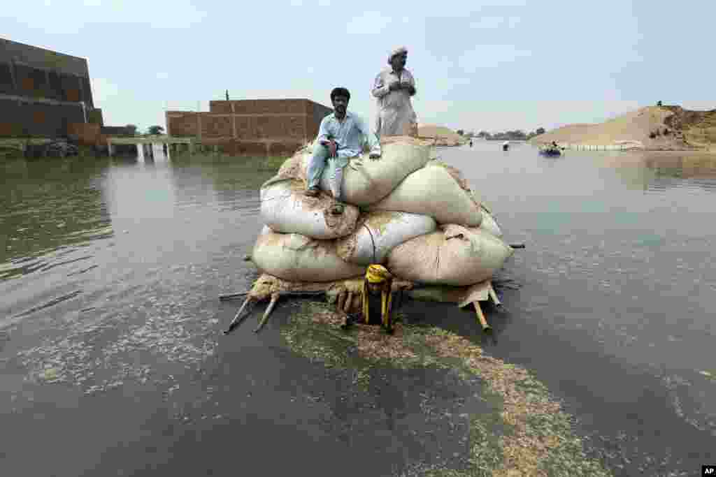 People use a makeshift barge to carry hay for cattle, in Jaffarabad in southwestern Pakistan, Sept. 5, 2022.