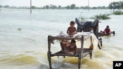 A man sits near his belongings surrounded by floodwaters, in Sohbat Pur city, a district of Pakistan's southwestern Baluchistan province, Sep. 3, 2022.