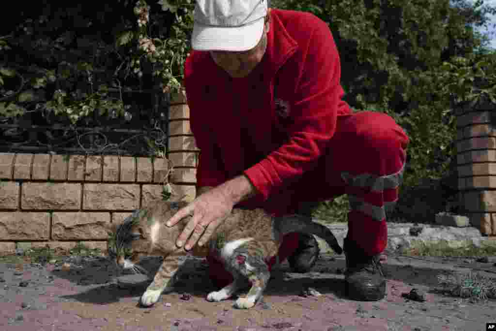 A Ukrainian Red Cross Society volunteer pets a cat named Maks, that was slightly injured during a Russian attack last week that damaged the building of the humanitarian association in Sloviansk.