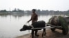 A man transporting green fodder on a buffalo cart walks down a road along stranded flood water, following rains and floods during the monsoon season in Nowshera, Sept. 4, 2022. 