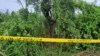 A crime scene tape cordons off a tree where the bodies of two teenage girls were found hanging after they were allegedly raped, in Lakhimpur Kheri district of Uttar Pradesh state in India, Sept. 15, 2022. 