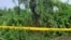A crime scene tape cordons off a tree where the bodies of two teenage girls were found hanging after they were allegedly raped, in Lakhimpur Kheri district of Uttar Pradesh state in India, Sept. 15, 2022. 
