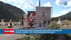 Yellowstone’da 150 Yıl Sonra Yeniden Yerli Çadırları Kuruldu