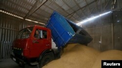 FILE: A driver unloads a truck at a grain store during barley harvesting in the village of Zhovtneve, Ukraine, July 14, 2016. 