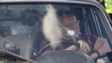 Refugee fleeing in a car damaged by shrapnel in Zaporizhzhia 